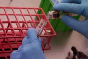 Read more about the article Inaugurado hoje laboratório de biologia molecular no Huambo