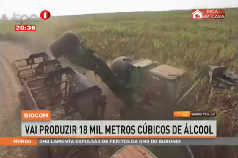 O Guardião