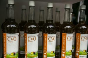 Read more about the article Presidente do Madagáscar anuncia início de testes clínicos da Covid-organics