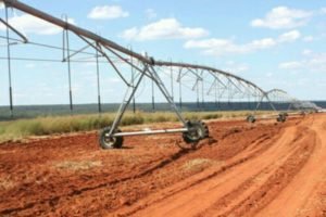Read more about the article Angola quer empresários franceses no desenvolvimento agrícola do país