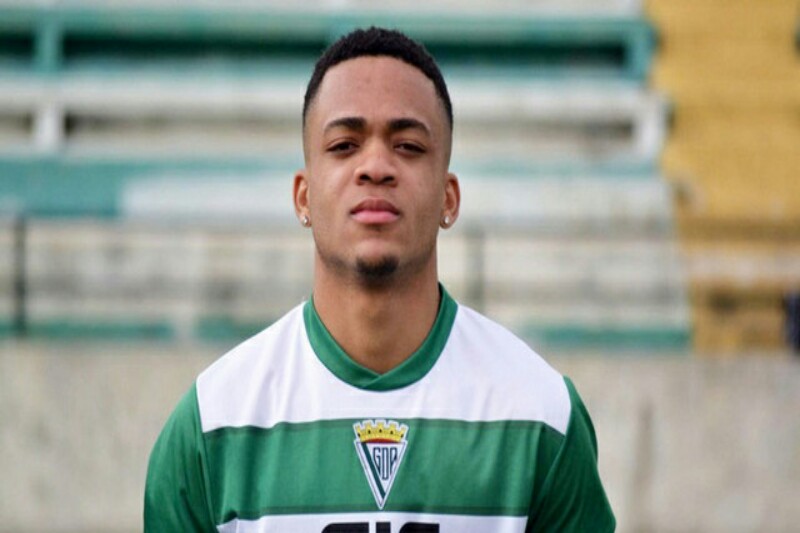 O Guardião