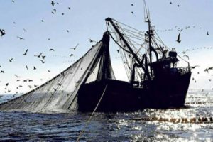 Read more about the article Pescadores angolanos detidos no Congo regressam ao país