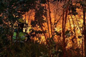 Read more about the article Portugal em risco máximo de incêndio
