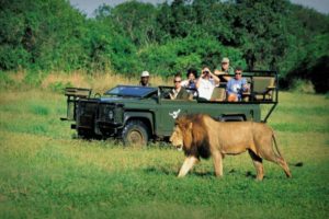 Read more about the article África do Sul prepara regresso do turismo para janeiro de 2021