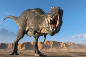Read more about the article Estudo indica que dinossauros também tinham cancro