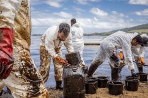 Read more about the article Maurícias numa corrida contra o tempo para evitar desastre ambiental