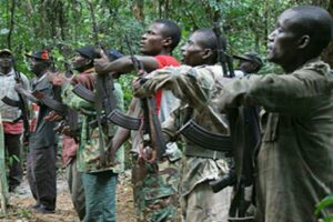 Read more about the article FLEC-FAC diz que matou 12 militares angolanos e promete mais ataques