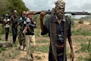 Read more about the article Boko Haram mata três pessoas e sequestra cinco crianças nos Camarões