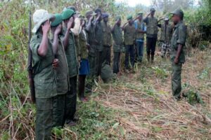 Read more about the article FLEC-FAC denuncia operação militar conjunta de Angola e RDCongo