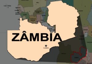 Read more about the article ‘Default’ da Zâmbia pode desencadear onda de falências em África – Fitch