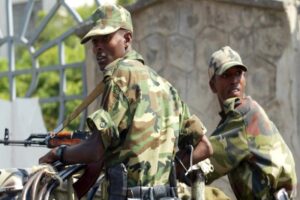 Read more about the article Exército etíopie acusa diretor-geral da OMS de apoiar o Tigré