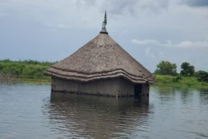 Read more about the article África reclama cumprimento de promessas de financiamento das alterações climáticas