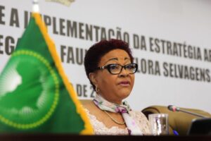 Read more about the article Josefa Sacko promete prioridade à ação em segundo mandato na União Africana