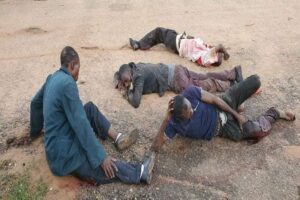 Read more about the article Friends of Angola exige que autoridades investiguem mortes em Cafunfo para levar responsáveis à justiça