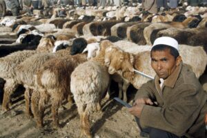 Read more about the article China diz que são “mentiras absurdas” as acusações dos EUA sobre genocídio de uigures