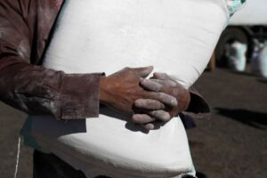 Read more about the article Governo investiga importação ilegal de farinha de trigo e de milho