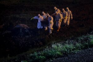 Read more about the article África com mais 373 mortos e 11.782 casos nas últimas 24 horas