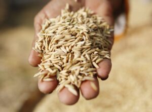 Read more about the article Angola importou em fevereiro produtos da cesta básica no valor de 86 milhões de dólares