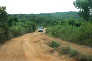 Read more about the article Ambientalista angolano denuncia exploração de recursos “ao arrepio da lei” em zonas protegidas