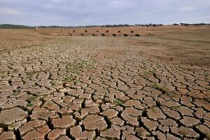 Read more about the article Amnistia alerta para milhões de pessoas em risco de vida no sul de Angola devido à seca