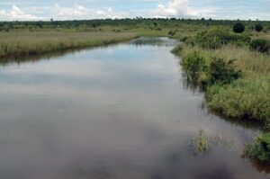 Read more about the article Resgatados corpos de duas crianças atiradas ao rio pelo pai