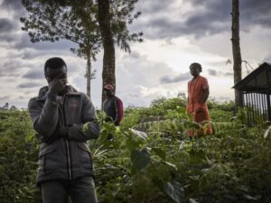 Read more about the article Mortos mais de 22 civis em ataques de extremistas na RDCongo