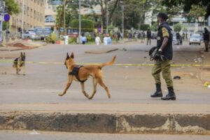 Read more about the article Grupo ‘jihadista’ Estado Islâmico reivindica duplo atentado suicida em Kampala