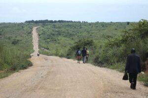 Read more about the article Governo da Lunda Norte reforça verbas para estrada e estima concluir primeiro troço em abril
