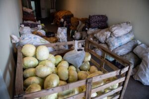 Read more about the article Insegurança alimentar pode causar protestos em África – consultora