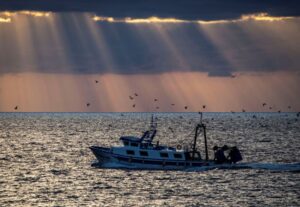 Read more about the article Conferência dos Oceanos deve promover “economia azul sustentável” em África — ONG
