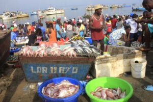 Read more about the article Angola cria plano de fomento às pescas de 307,4 milhões de euros para 2022-2027