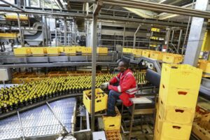 Read more about the article Banco Africano prevê crescimento de 4% no continente, acima da média mundial