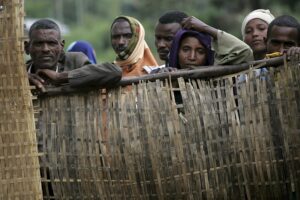 Read more about the article Fome progride do Sahel ao Corno de África – ONU e ONG