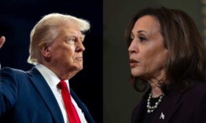 Read more about the article Trump pede investigação sobre celebridades que apoiaram Kamala Harris nas eleições de 2024