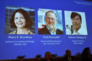 Read more about the article Nobel da Medicina atribuído a Mary E. Brunkow, Fred Ramsdell e Shimon Sakaguchi